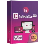 Elementor Pro Plugin